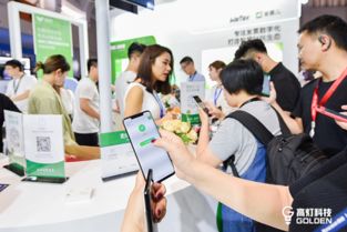 高燈科技亮相騰訊全球數字生態大會，專注打造智慧財稅極致體驗